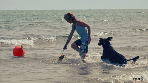 13. Mai 2023 Wasserspiele OCEANUS – Hundemilitary